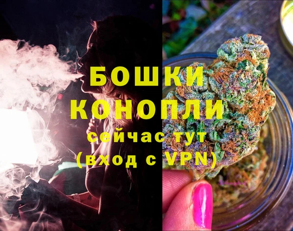 скорость Лагань