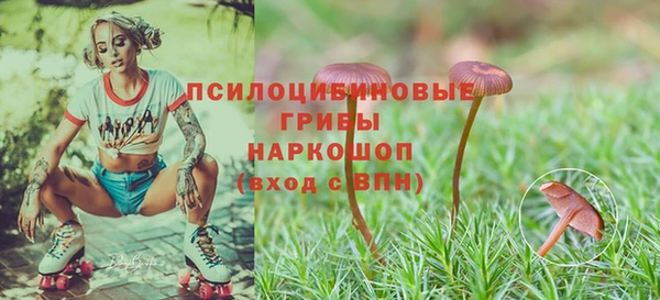 MDMA Ладушкин