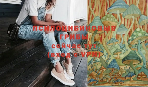 скорость Лагань