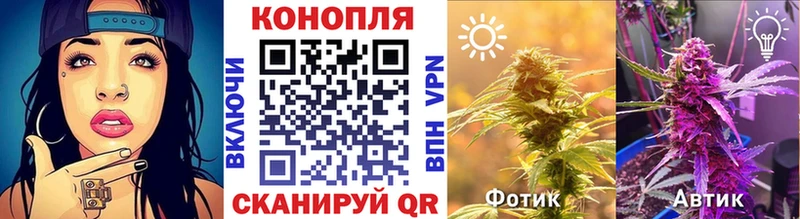 Бошки марихуана Ganja  Купить закладки  Фатеж 
